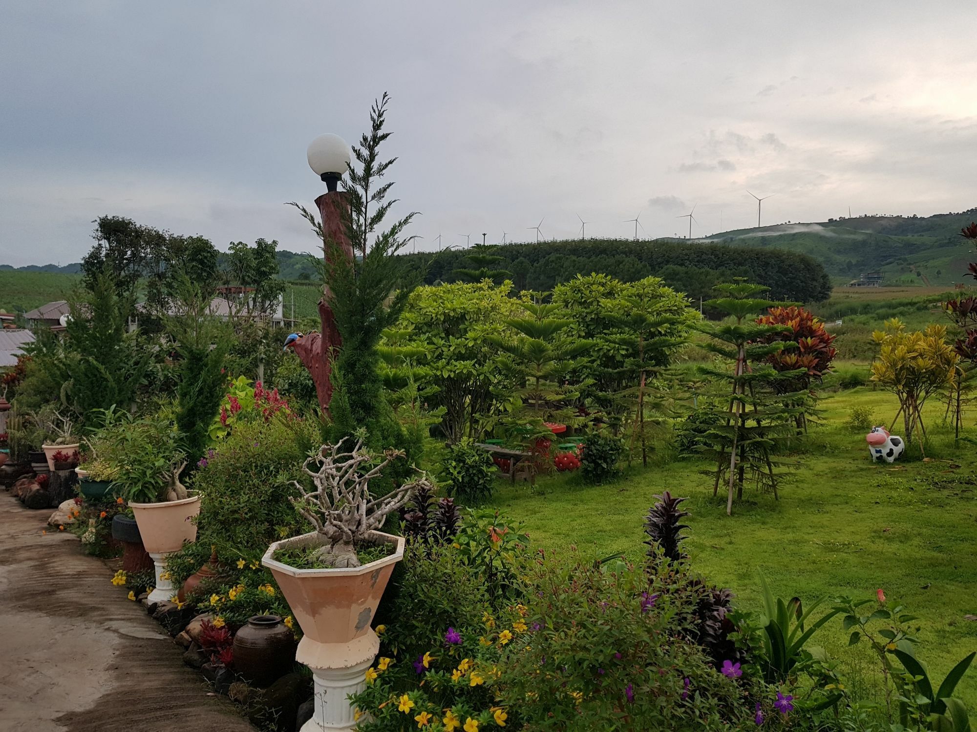 ホテル Baan Khao Kho Kheingthara エクステリア 写真