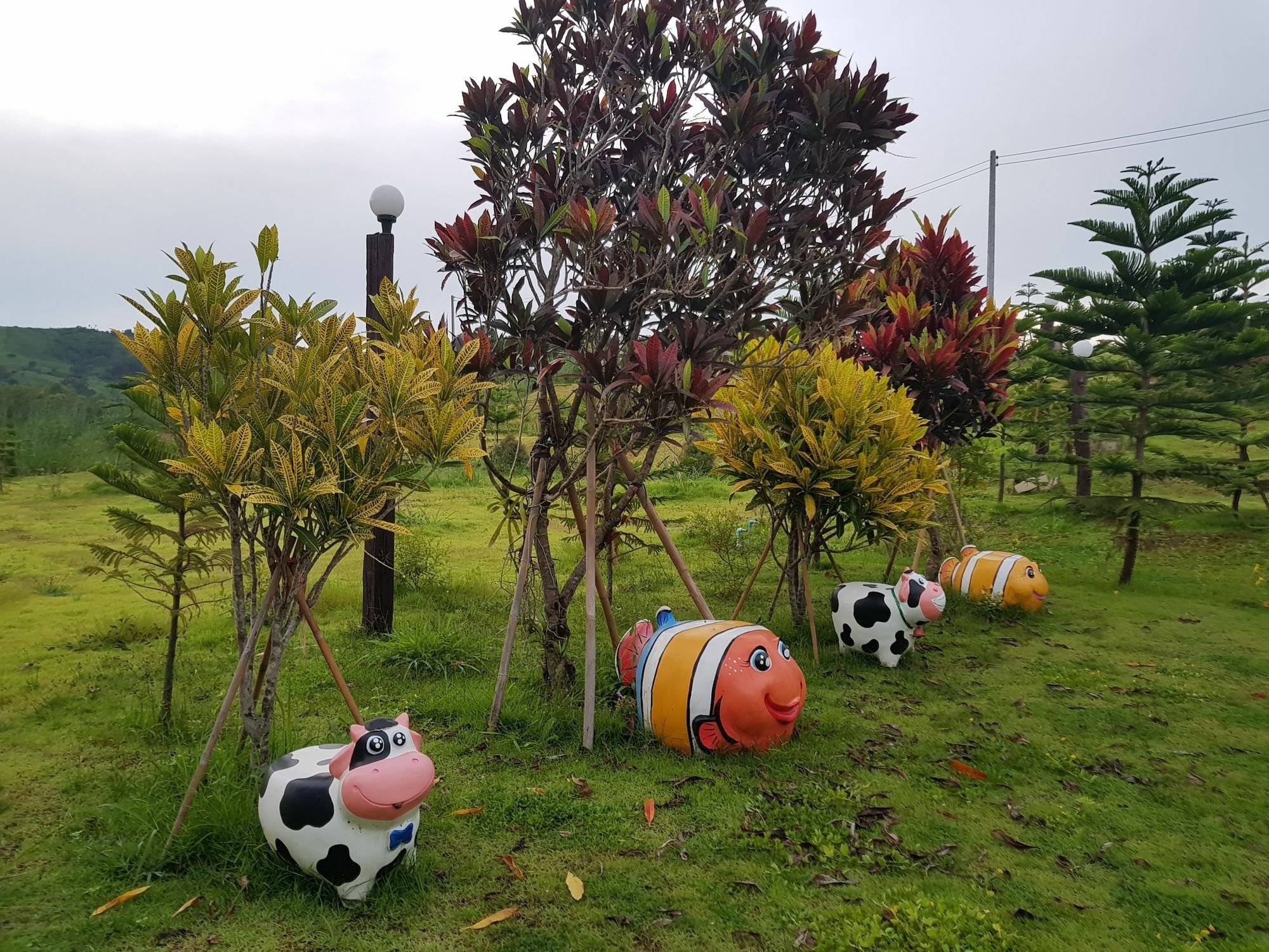 ホテル Baan Khao Kho Kheingthara エクステリア 写真